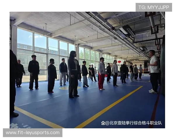 国际拳击裁判在选拔中注重职业操守并提供持续监督与培训支持，国际拳击协会官网